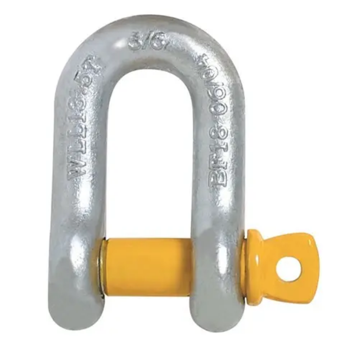 Picture of Beaver, Grade S Screw Pin Dee Shackle