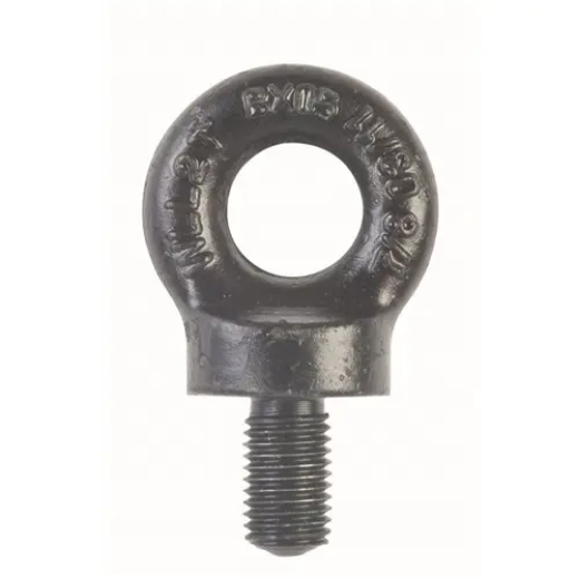 Picture for category Eyebolts